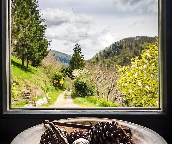 Kuninez, With Summer Kitchen Most na Soči